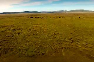  Bedroom Property for Sale in Fauresmith Rural Free State